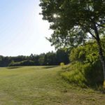 Nu öppnar vi Brommas sommargreener och vår online-bokning!