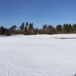 Årets program det bästa någonsin!