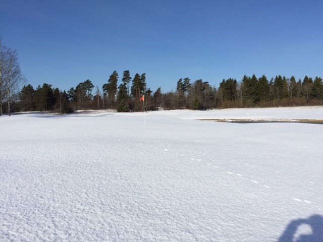 Featured image for “Bodaholm stängd tis 18 april. Bromma öppen med vintergreener.”